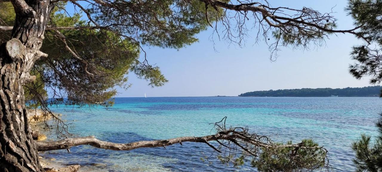 Les Grenadines Du Samedi Au Samedi Apartment Антиб Екстериор снимка